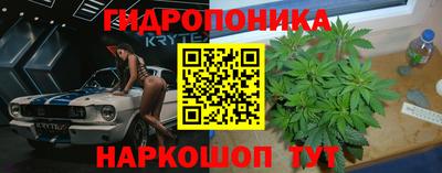ECSTASY Тула